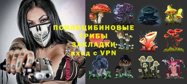 прущие крисы Беломорск